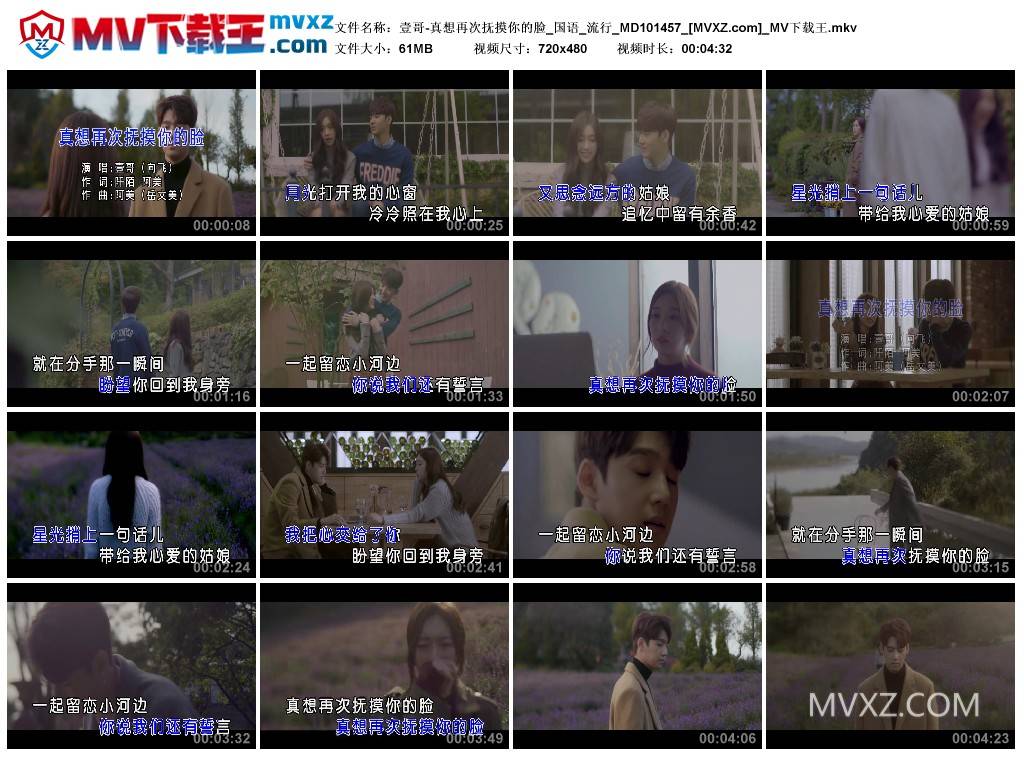 壹哥-真想再次抚摸你的脸_国语_流行_MD101457